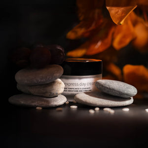 Day Cream 50ml